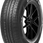 LIONSPORT LEAO GP 88T 2024
